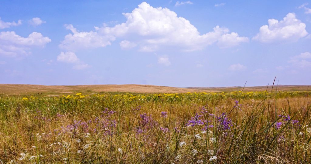Погода на сегодня: до +27 °C и без осадков