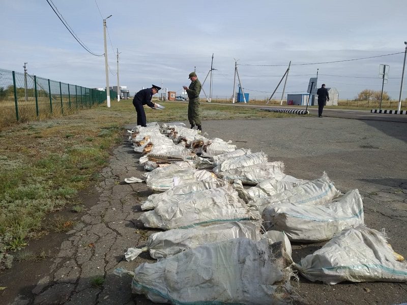 На оренбургском пункте пропуска изъяли 4 тонны осетровой рыбы