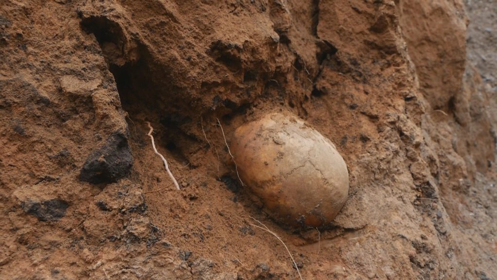 В Оренбурге на улице Аксакова найдены человеческие останки