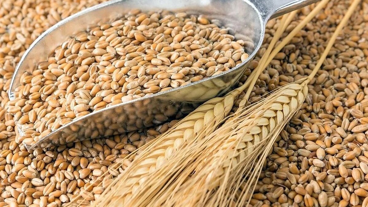 Экспорт продукции АПК Оренбуржья вырос на четверть&nbsp;