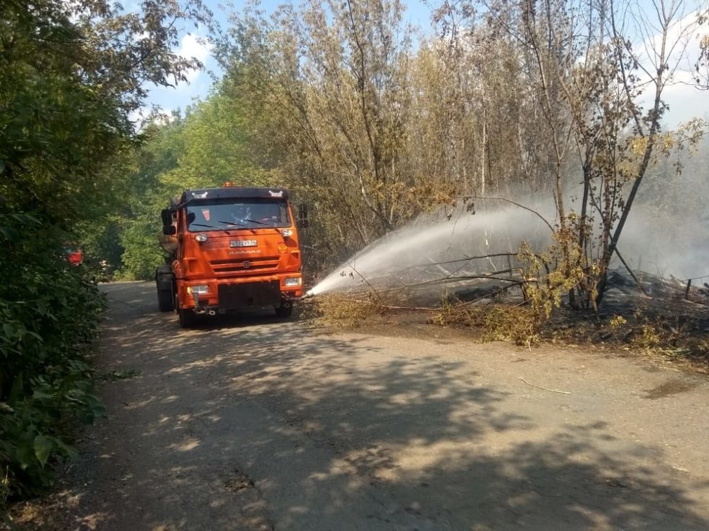 Площадь природного пожара под Оренбургом составила 80 гектаров