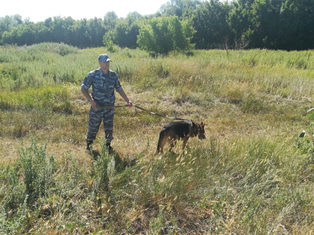 11 дней и ночей: в Новосергиевском районе продолжаются поиски пропавшего ребёнка