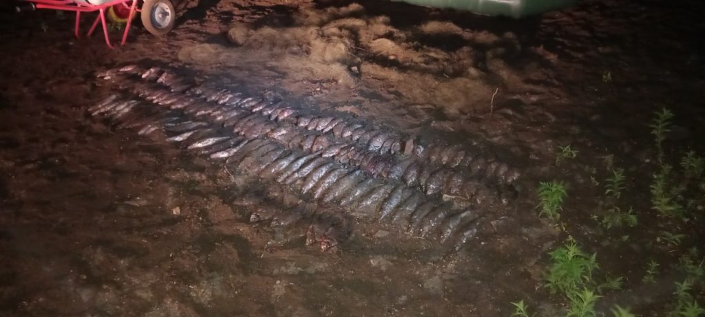 Браконьера с сетями и уловом на 131 тысячу рублей поймали в Кваркенском районе