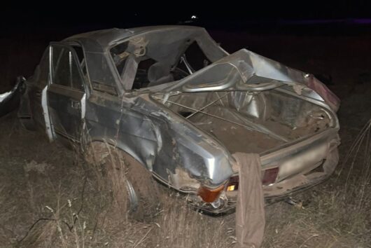 В Оренбуржье «Волга» врезалась в диких кабанов. Погиб пассажир