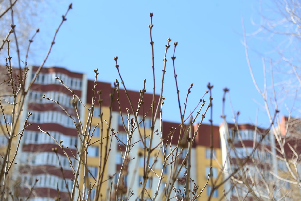 29 марта в Оренбуржье воздух прогреется до +13°C