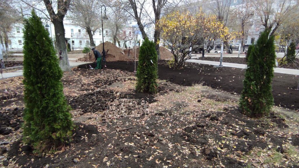 В сквере имени Ленина в Оренбурге высадили робинии, клёны и туи