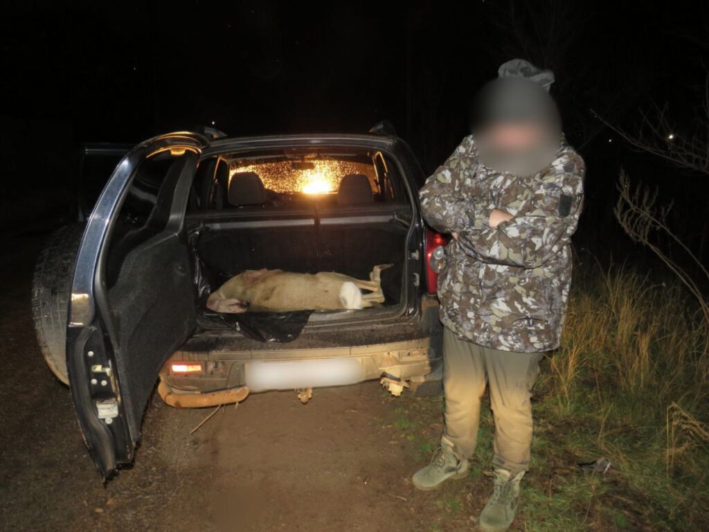 В Оренбургском районе задержали водителя с тушей косули