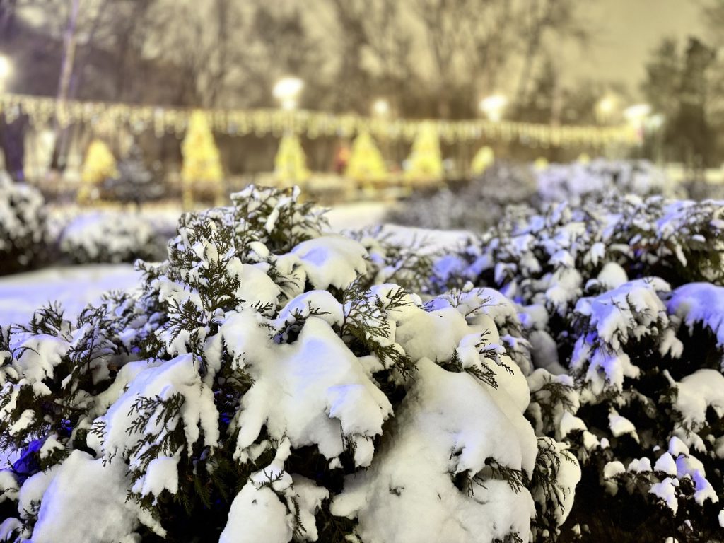 31 января в Оренбуржье ожидается от -3°C до -8°C